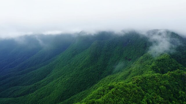 Lush green mountain ridges rise beneath low clouds as drifting mist curls across forested peaks, revealing layered valleys and dense vegetation in an elevated wide view