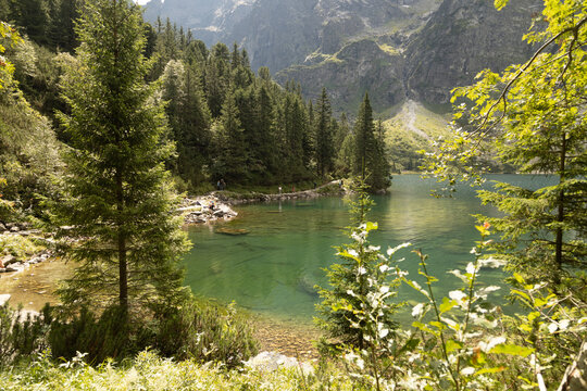 The image shows the lake, Zakopane.