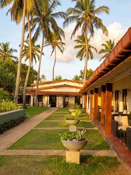 Tropical Beach Resort Pathway with Palm Trees and Luxury Villas at Sunset