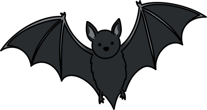 Black bat vector illustration, halloween flying bat element