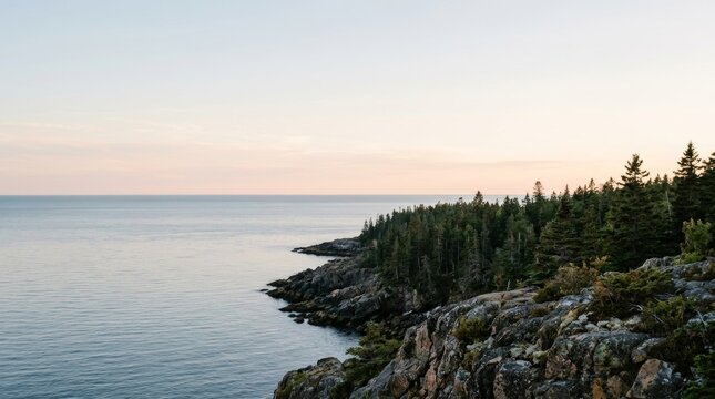 Rugged Rocky Coastline with Coniferous Forest at Sunset.