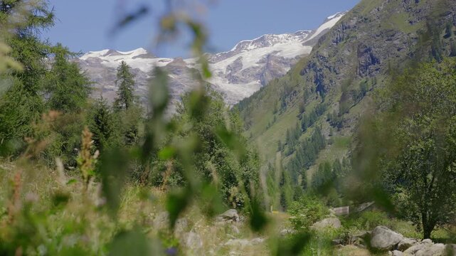 Monte Rosa Massif mountain view from Staffal in Italy next to Gressoney
