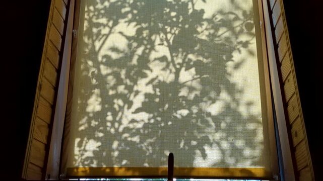Shadows of tree leaves swaying on a window blind in a wooden house. Sunlight passes through branches creating a relaxing natural pattern.