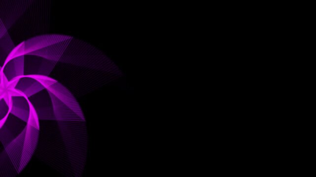Glowing purple geometric spiral line background. Glowing magenta spiral wave vector pattern. Dynamic pink swirl star black backdrop.