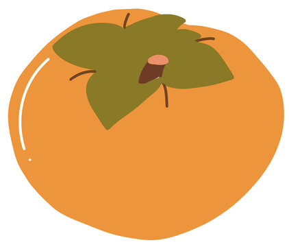 persimmon