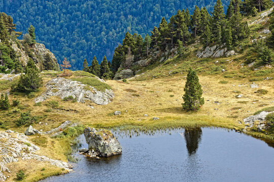 Small mountain lake and firs in Belledonne mountain range