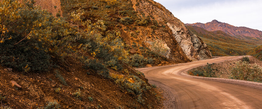 Denali National Park and Preserve autumn landscape series in Alaska