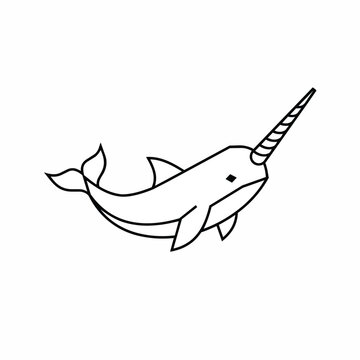Narwhal marine animal illustration vector