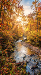 Fototapeta premium Senderista caminando junto a un río cristalino en un frondoso bosque de otoño, iluminado por cálidos rayos de sol entre hojas doradas y rojizas.