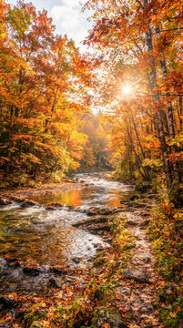 Senderista caminando junto a un r&iacute;o cristalino en un frondoso bosque de oto&ntilde;o, iluminado por c&aacute;lidos rayos de sol entre hojas doradas y rojizas.