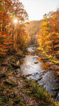 Senderista caminando junto a un r&iacute;o cristalino en un frondoso bosque de oto&ntilde;o, iluminado por c&aacute;lidos rayos de sol entre hojas doradas y rojizas.