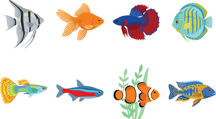 Fototapeta premium Colorful Tropical Aquarium Fish Collection Illustration with Exotic Freshwater and Marine Species