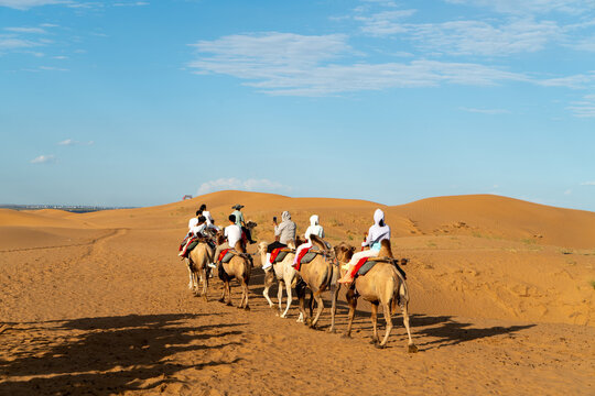 Tourists riding camels in the desert