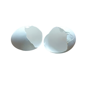 Two broken white egg shells on a surface