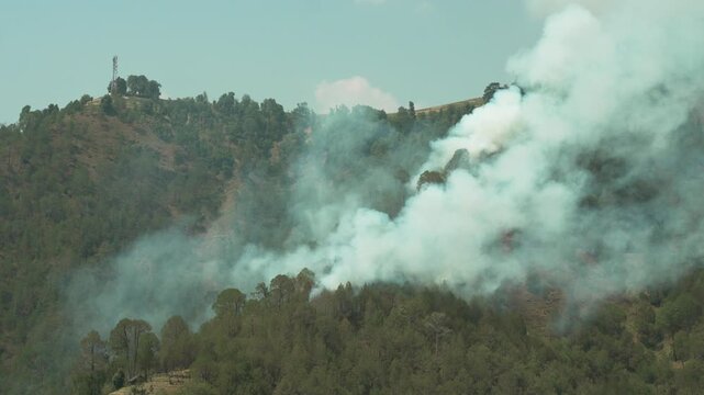 Elevated wide-angle static shot of a wildfire in a green pine forest in Himachal Pradesh, India, with thick white smoke billowing and rising over a hillside landscape.
