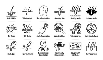 Fototapeta premium Hair Loss and Scalp Health Analysis Outline Icon Set for Hair Follicles Growth Dermatology and Scalp Care