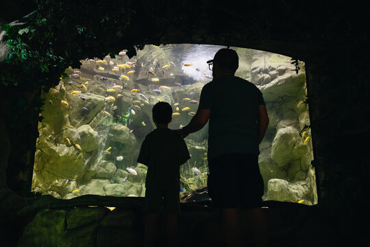 Father and his son at the aquarium