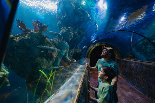 Father and son in aquarium