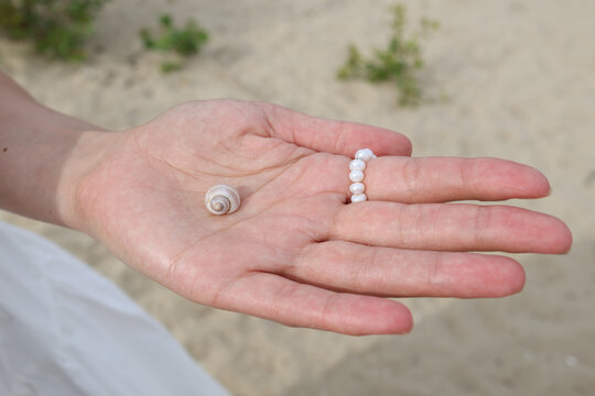 A seashell in the palm of a hand