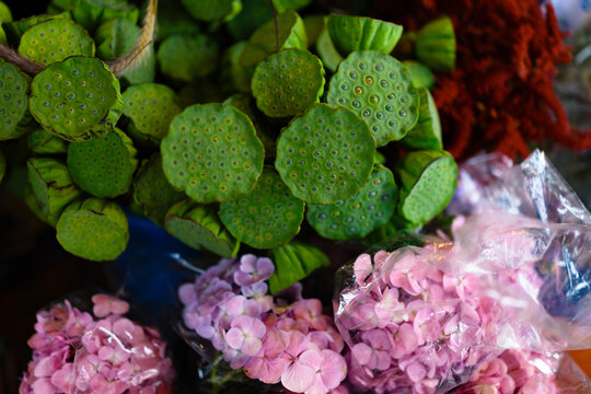 Green Lotus Seed Pods With Pink Hydrangea Flowers