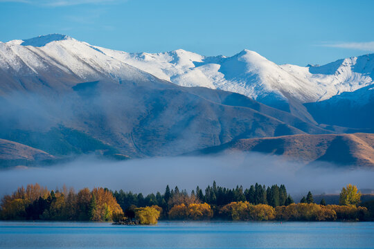 Autumn colour under snow capped mountains in New Zealand 
