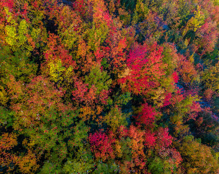 Abstract aerial of Autumn colour