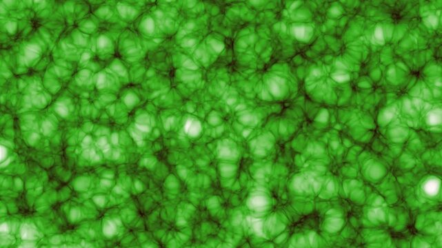Abstract toxic green cell tissue background, microbiology medical wallpaper loop.