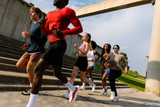 Active friends training together in a sunny park to build endurance