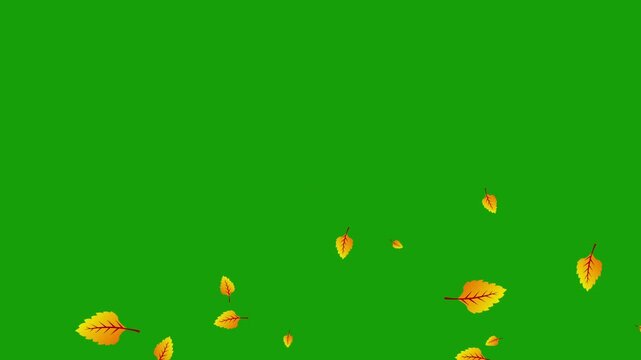Falling autumn leaves on green screen background