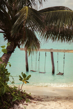 Swings Above Tropical Water