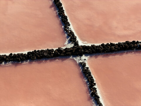 Abstract geometric pattern of pink salt ponds
