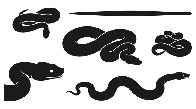 Black snake silhouette set featuring various coiled and slithering