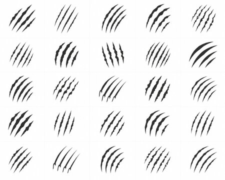 Grid collection of black animal claw scratches and sharp marks with scratch collection monster claws wild beast attack marks predator illustration collection isolated background monochrome