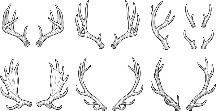 Hand drawn vintage deer antlers vector set with sketch textures of buck elk and moose horns isolated on white background