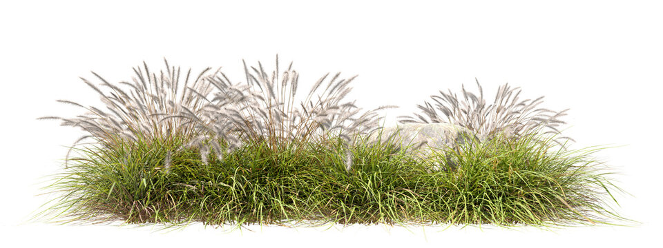 Feathers grassy prairie with natural rock cut out transparent backgrounds 3d rendering png file