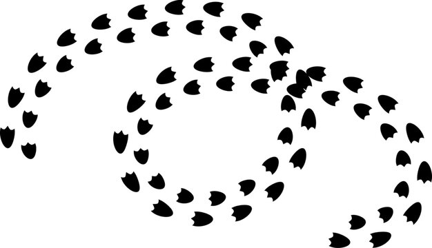 Duck footprint track, goose paw foot print