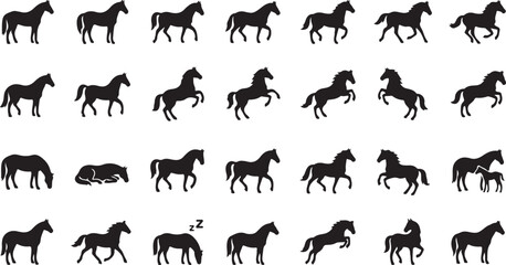 Obraz premium Black horse silhouettes showing various poses and movements with silhouette