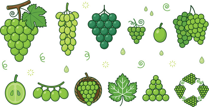 Green grapes vector fruit icon collection featuring fresh vineyard bunches leaves half cut section basket and geometric wreath elements on white backgroundKawaii chocolate cupcake vector character 