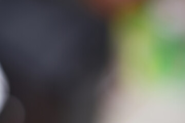 Fototapeta premium Abstract blurred background with soft gradients of green and dark grey colors.