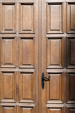 Wooden door with detailed panels and decorative handle