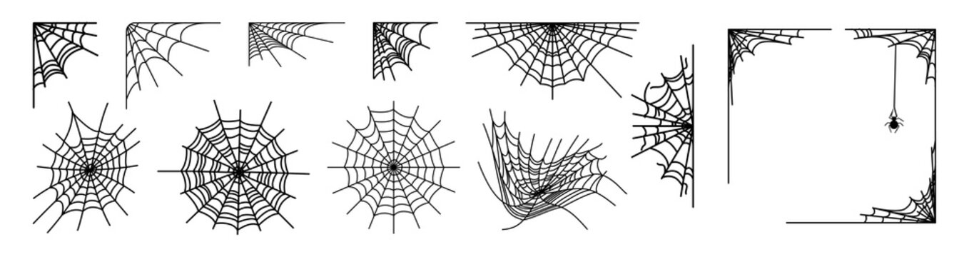 Halloween tangled spider web set on transparent background: black gossamer webs, widow spider dangling on a silk thread, round cobwebs and corner web frame