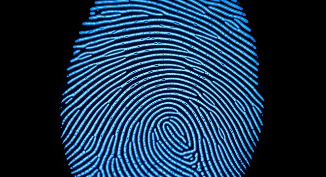 Close-up Blue Fingerprint Biometric Security Pattern on Dark Background