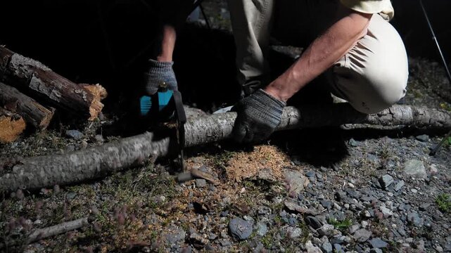 Person wearing protective gloves cutting a fallen birch tree log with a small cordless electric chainsaw, with sawdust flying around during nighttime yard work or land clearing activity