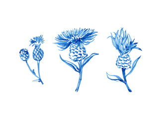 Obraz premium Watercolour hand drawn summer field wild flowers. Linear brush line, blue flower, plant, use as print, poster, element design, label, sticker, clothes print. Hand drawn botanical illustration.