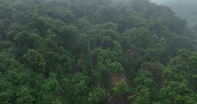 Aerial view of landslide forest mountain after typhoon