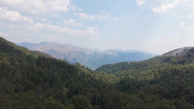 Aerial View of Dense Forest Valley with Majestic Mountain Peak Distant Horizon Bosnia
