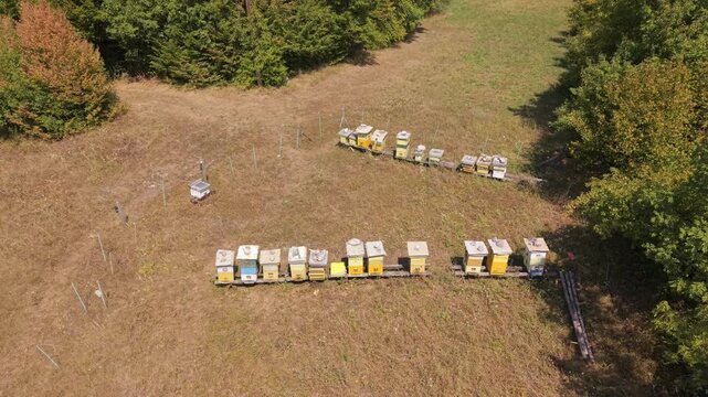 Aerial View of Wooden Beehives Apiary in Meadow Village Bijela Near Konjic Bosnia