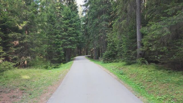 Drone Flying Low Along Asphalt Road Through Dense Evergreen Forest in Bijambare Bosnia