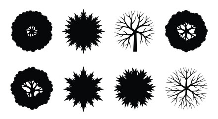 Obraz premium Tree silhouettes depict various foliage shapes on a white background