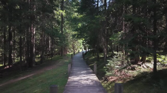 Drone Flying Low Along Wooden Boardwalk Pedestrian Path in Bijambare Forest Bosnia